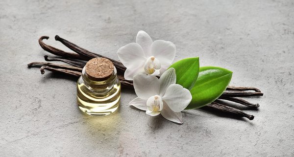 Somptueuses senteurs de la parfumerie : que savoir des meilleurs parfums à la vanille ?