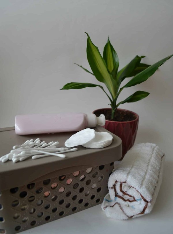 Découvrez l'essentiel de la toilette au quotidien