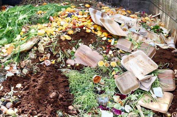 Accessoires zéro déchet : optez pour un mode de vie éco-responsable